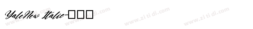 YaleNew Italic字体转换